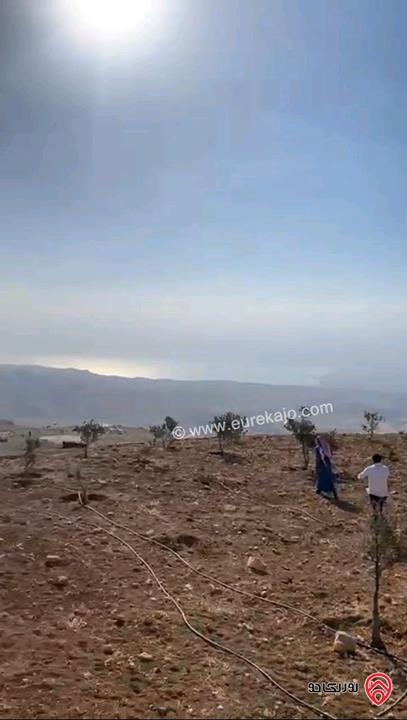 قطعة ارض مساحة 8 دونم للبيع في مادبا
