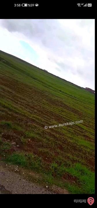 قطعة أرض مساحة 6 دونم و 124م للبيع في مادبا الفيصليه 