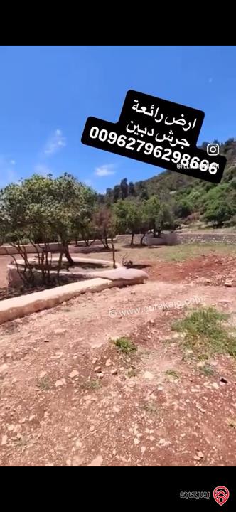 قطعة ارض مميزة مساحة 1 دونم للبيع في جرش - دبين