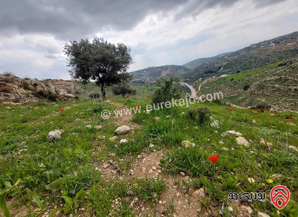  أرض سكنية للبيع في السلط - الجبيل مساحة 1052م (تصنيف أ)