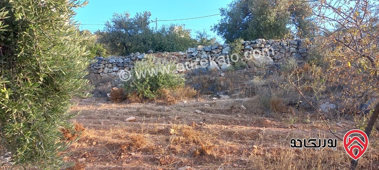 قطعة ارض مفروزة 517م للبيع في عمان - بدر الجديدة