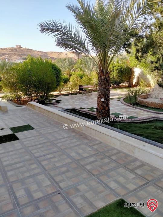 مزرعة للبيع في البحر الميت مساحة 4 دنم فرصة ذهبية للاستثمار والرفاهية