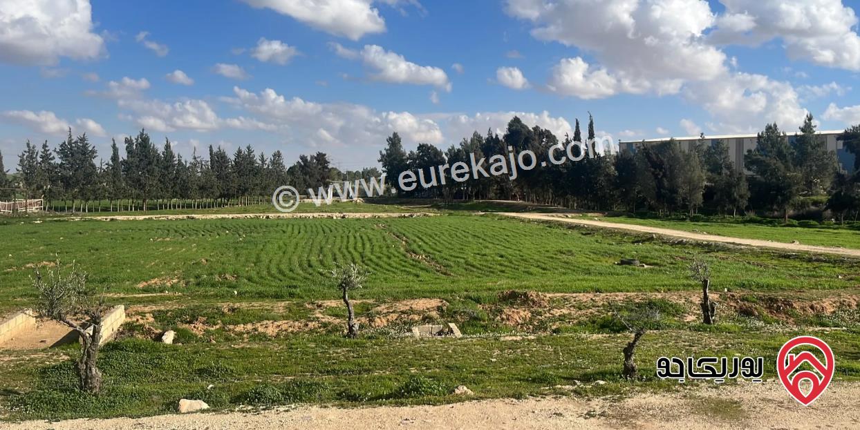 مزرعة مساحة الأرض 19500م والبناء 400م للبيع في عمان - الجيزة