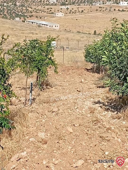 مزرعة مساحة الأرض 3 دونم و 400م بإطلالة للبيع في المفرق - بلعما