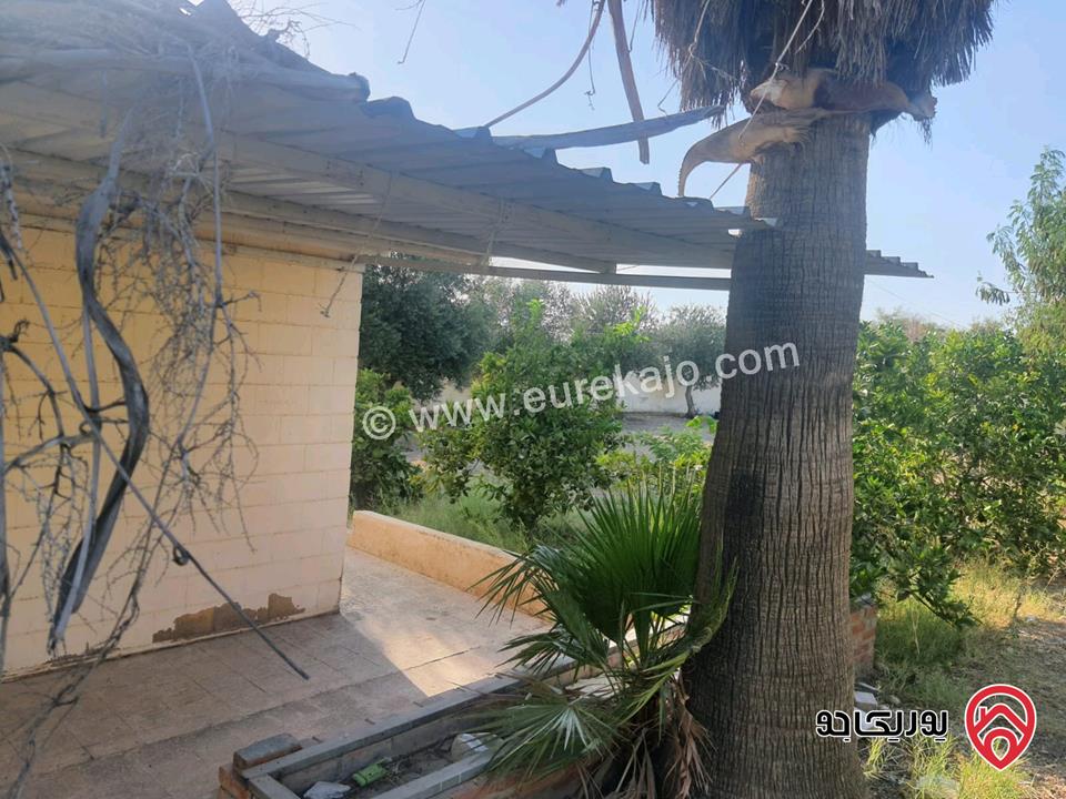 بيت ريفي مساحة 100م مع ارض 900م للبيع في الاغوار الشمالية - منطقة كريمة