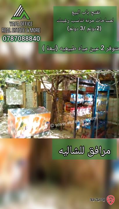 شاليه مميز مساحة الأرض 4 دونمات مشجرة بالكامل مع بناء 100م للبيع في عمان - البحاث