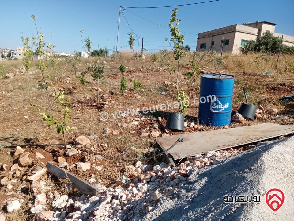 مزرعة مساحة 8700م للبيع في اربد بني كنانه منطقة يبلا 