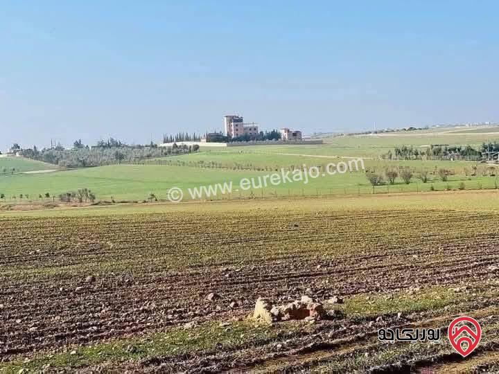 قطعة أرض مساحة 4 دونم للبيع في عمان - ام رمانة 