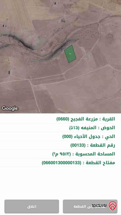 قطع  اراضي زراعية بمساحه ١٠ دونم تقريبا للبيع في معان - من أراضي الشوبك مزرعة الفجيج و بئر بن جازي