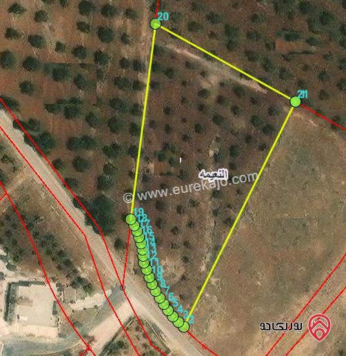 ارض للبيع 3600م في اربد - نعيمه في حوض العصارة الشمالية 