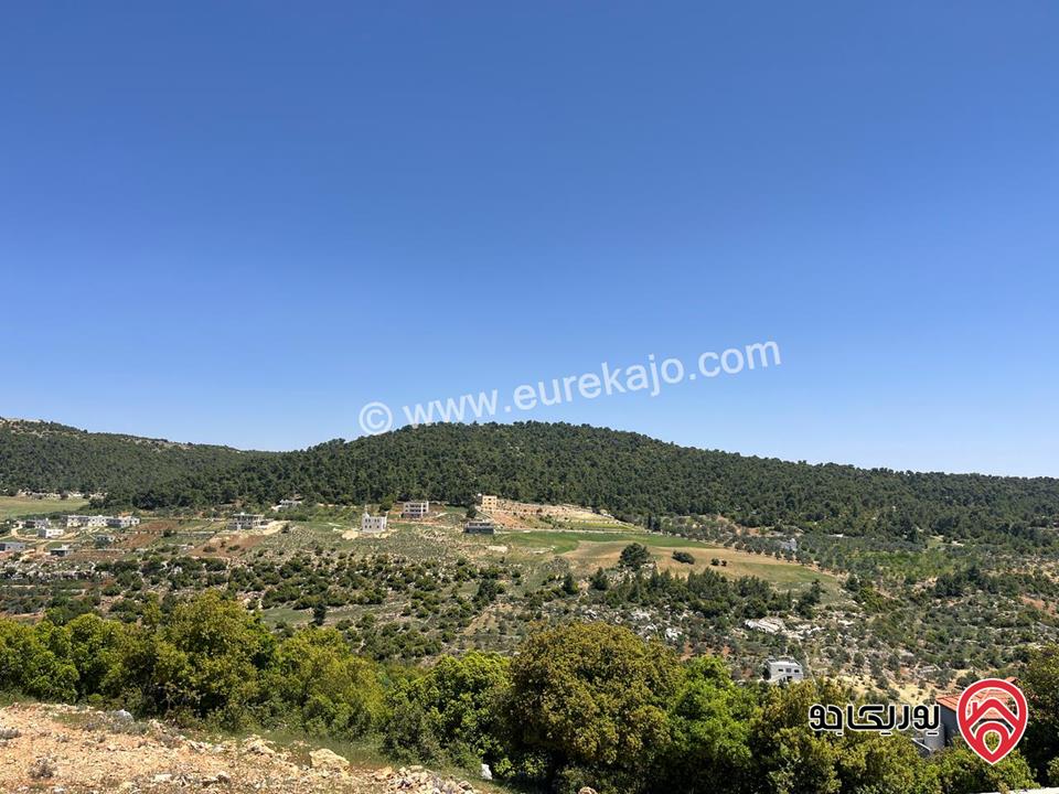 مزرعة مساحة الأرض 1066م والبناء 150م للبيع في عجلون أجمل مناطق عنجرة – حوض أم جلود