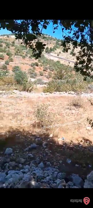 قطعة ارض مساحة 2 دونم و 240م للبيع في عجلون عنجره القاعده