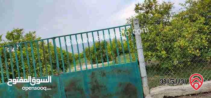 مزرعة مساحة 35 دونم للبيع في اربد - الشونة الشمالية