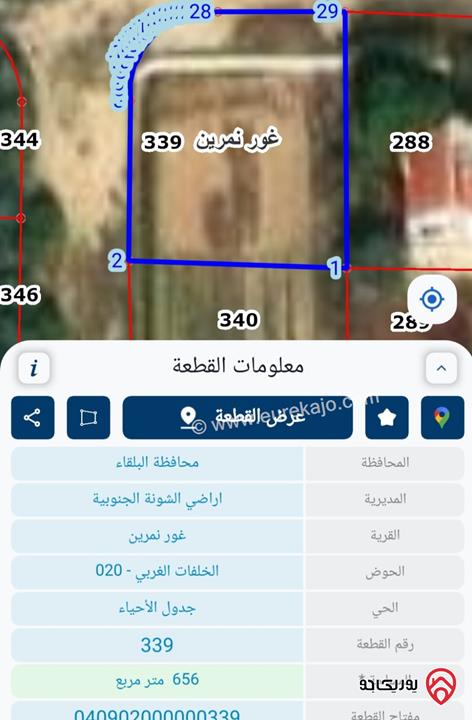 اراضي زراعية مساحة 656م للبيع في البحر الميت لانشاء شاليهات في الشونة الجنوبية