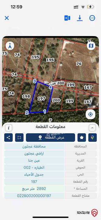 قطعة أرض مساحة 2 دونم و 892م للبيع في عجلون عين جنا 