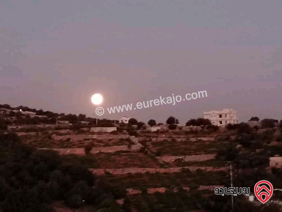أكواخ وشقق كرم العنب للايجار اليومي في عجلون عبين تبعد 1 كيلومتر عن مثلث عبين تقع على شارع عبين عين جنا 