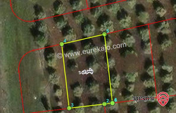 ارض 521م للبيع في اربد - من اراضي بشرى ضمن حوض الجوخ 