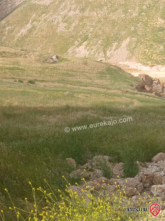 ارض مساحة 990م للبيع من أراضي غرب عمان - مرج الحمام البحاث الطبقة 
