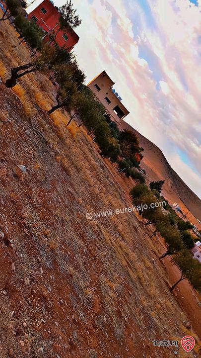 قطع أراضي بمساحات من 450م - 500م للبيع في الزرقاء - بيرين