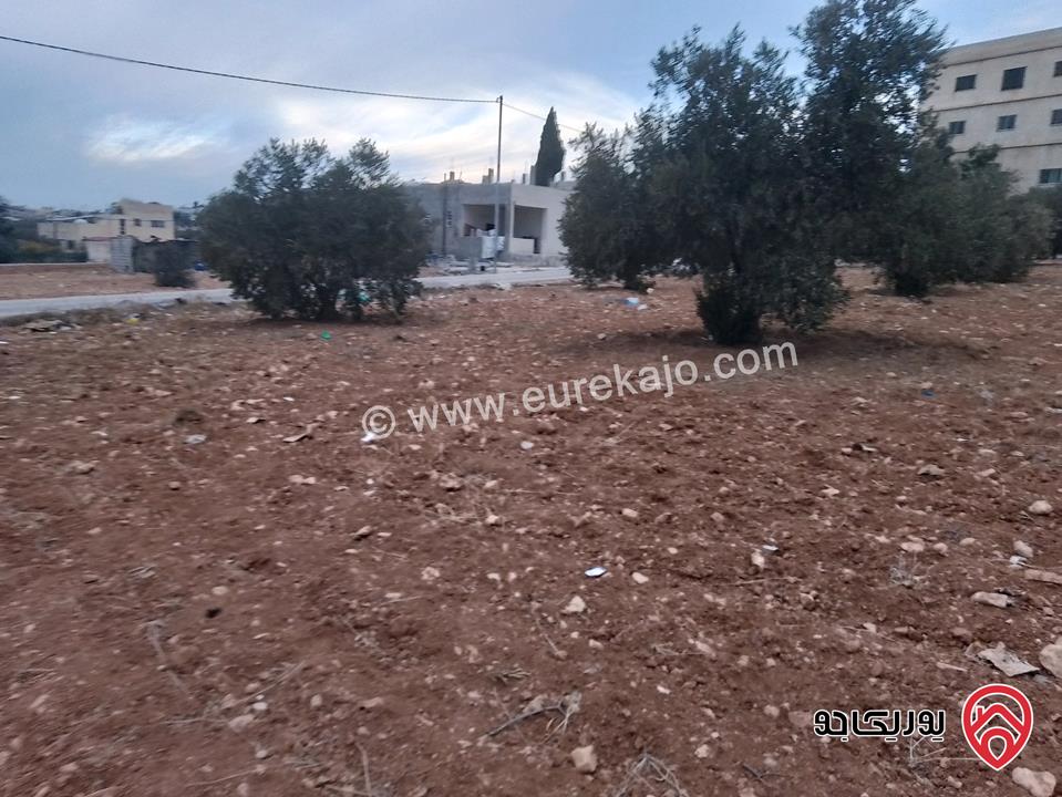 ارض للبيع مساحة الأرض 942م في المفرق - بلعما داخل التنظيم    