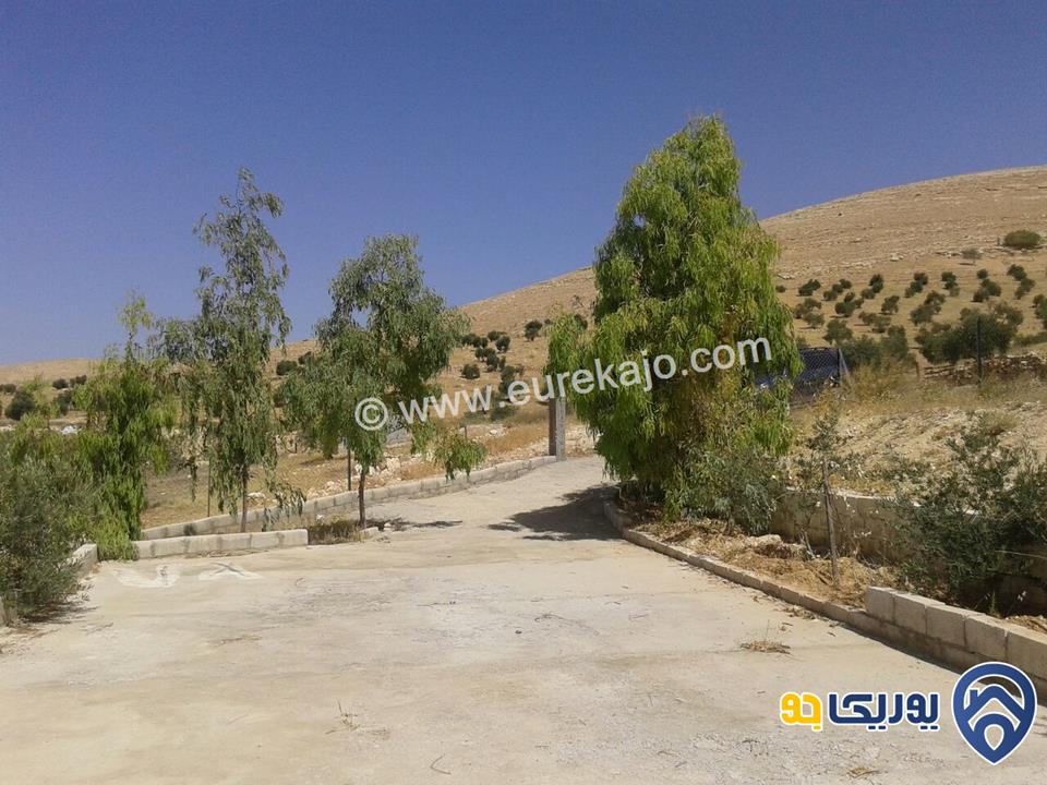 مزرعة مساحة 5000م للبيع في بلعما