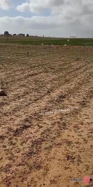 ارض خارج التنظيم مساحة 10 دونم للبيع في جنوب عمان - زينب الرواق