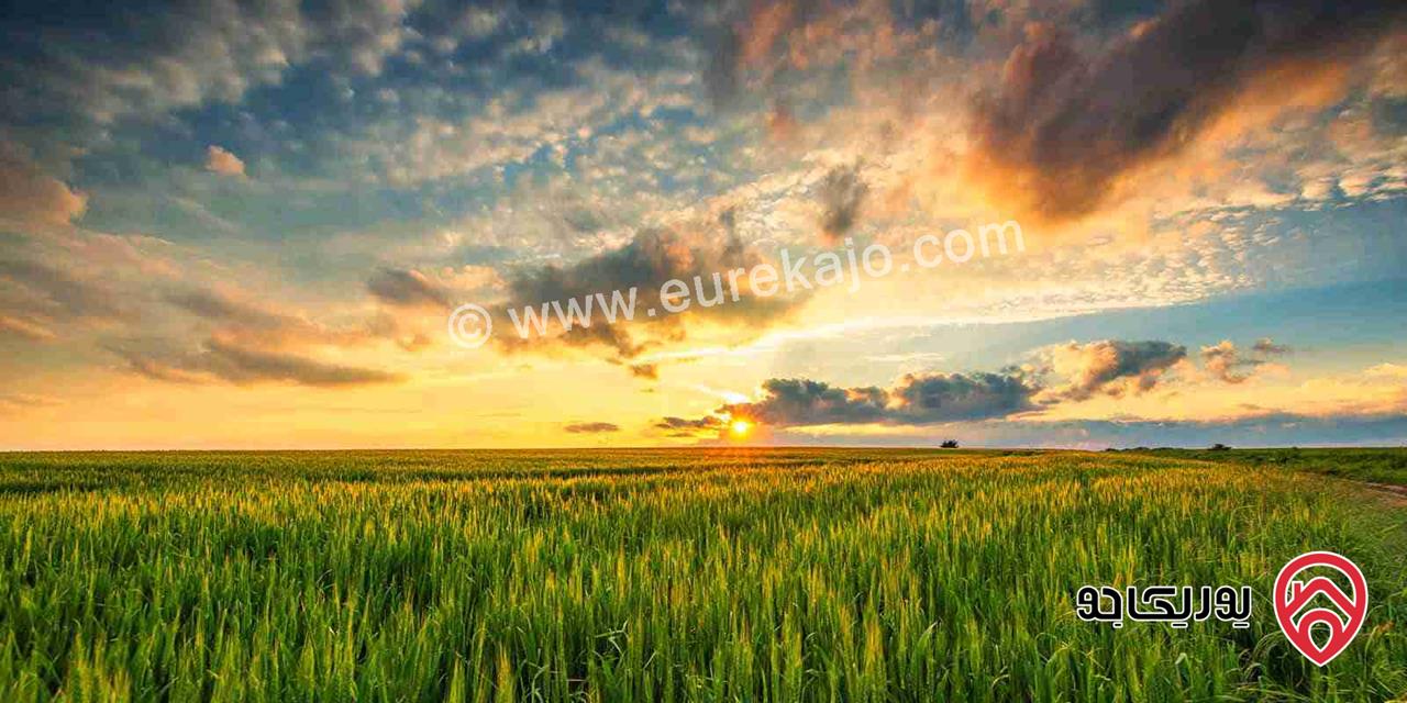 ارض مساحة 1157م للبيع من اراضي شرق عمان - النويجيس ( الهاشمي الشمالي )