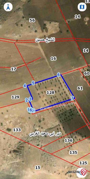 قطعة ارض زراعية مشجرة زيتون مساحة 7 دونم للبيع في اربد مطلة على اراضي فلسطين  