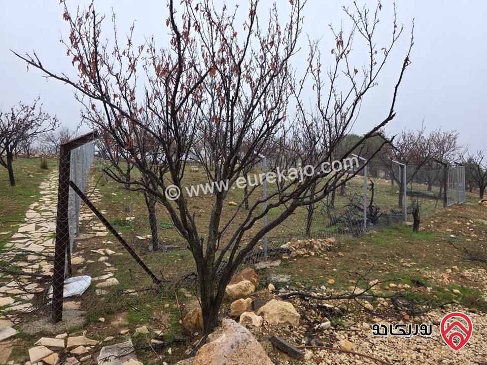 قطعة أرض مساحة 750م للبيع في عمان - ناعور