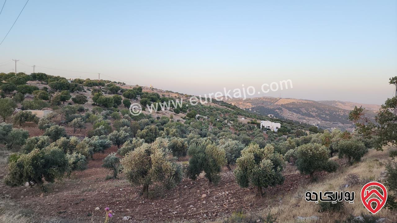 قطعة ارض مساحة 3483م للبيع في جرش - سوف بإطلالة خلابة وسط الطبيعة وهدوء الأحراش