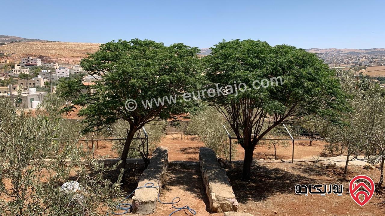 مزرعة مساحة الأرض 2 دونم للبيع بدون منزل في جرش حي الجبارات