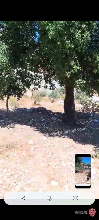 قطعة ارض مساحة 2 دونم و 240م للبيع في عجلون عنجره القاعده