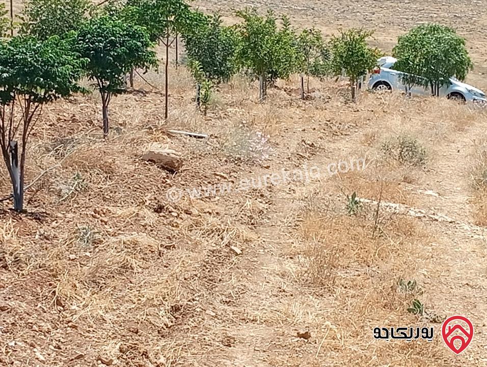 مزرعة مساحة الأرض 3 دونم و 400م بإطلالة للبيع في المفرق - بلعما