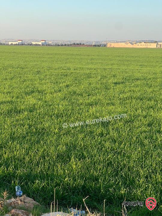 ارض مساحة 1 دونم و 156م للبيع في اربد - حوض كريزم