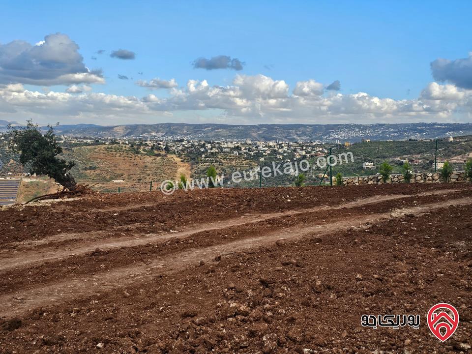 قطعتان متلاصقتان مساحة القطعة 2 دونم و 250م للبيع في السلط - الصبيحي