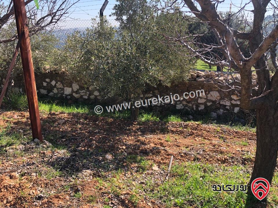 قطعة ارض استثمارية مميزة مساحة 3 دونم و 600م مزروعة ومسيجة بالكامل، للبيع في دعم الغزالات السلط