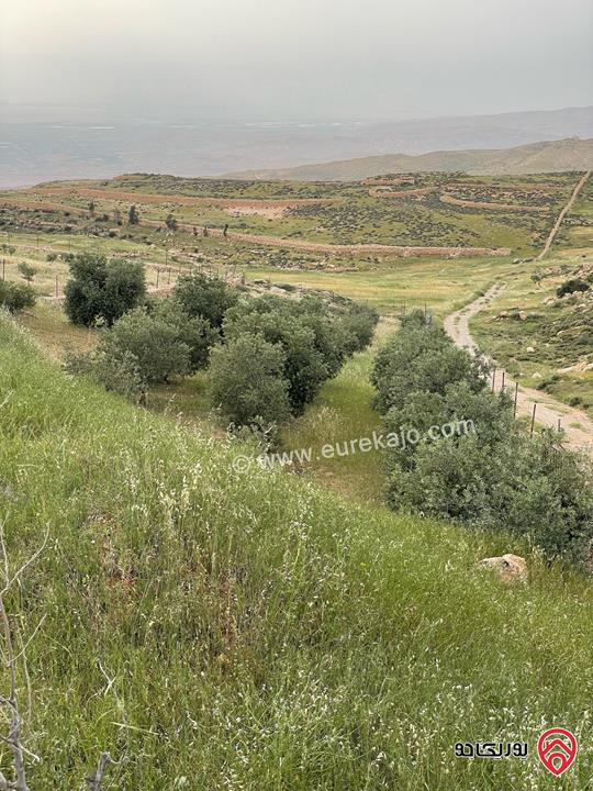 قطعة أرض مميزة مساحة 5 دونم للبيع في عمان - ناعور المشقر