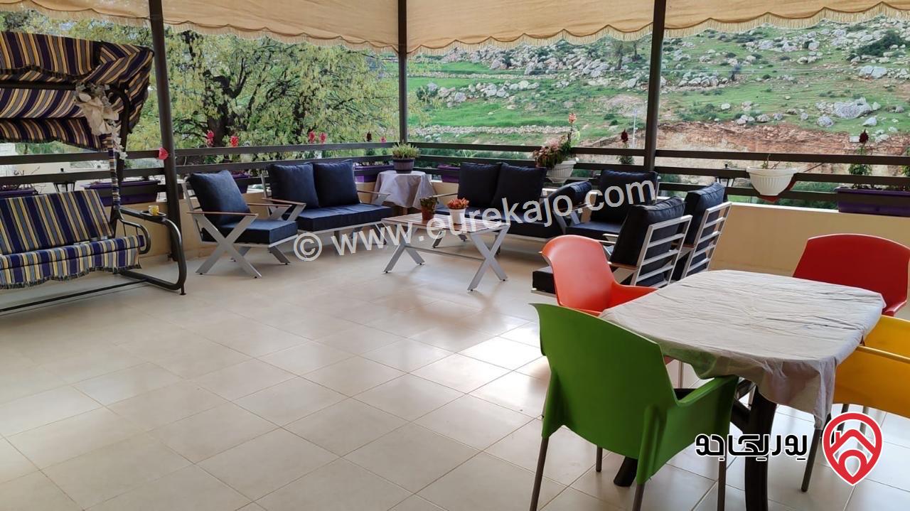 مزرعة مساحة 3 دونم + فيلا ريفية 220م للبيع في الزرقاء - صروت