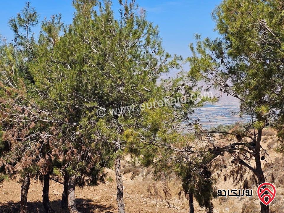 قطعة ارض مساحة 3 دونم و 500م للبيع في جبال السلط الصبيحي منطقة ميسرا الاجمل بالمنطقة والاقل سعر من  المالك مباشرة ودون عمولات  