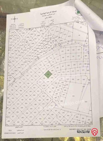 ارض مساحة 1 دونم للبيع في عمان - البيادر الدمينة 