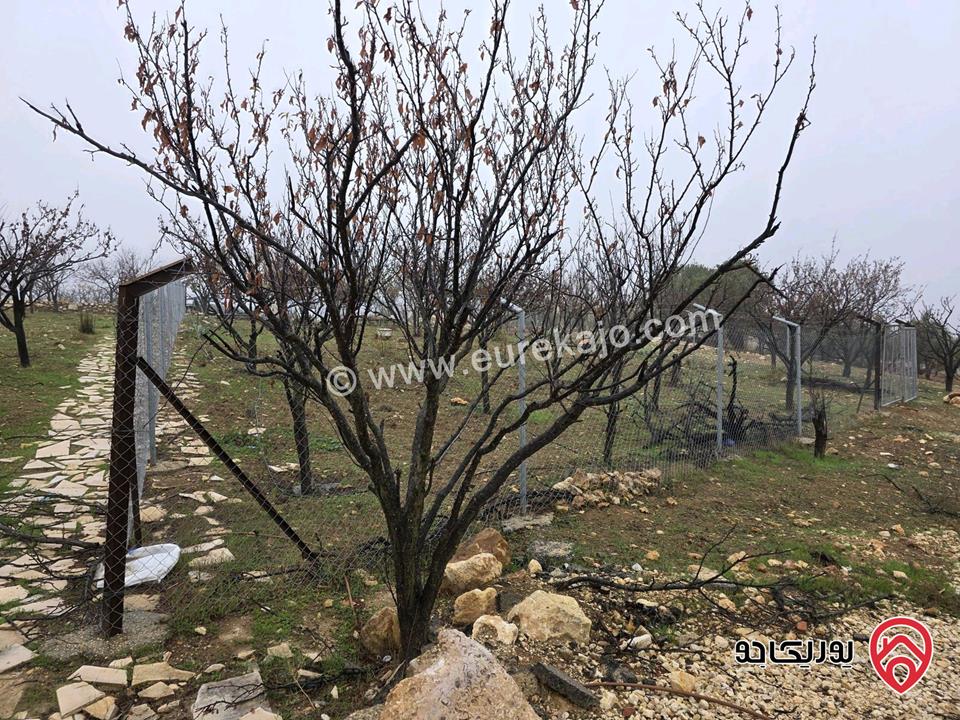 أرض مساحة 750م للبيع في عمان - ناعور