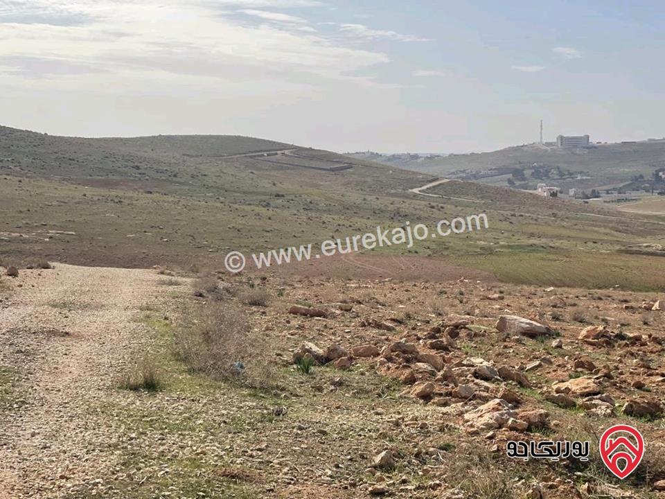 أرض مساحة 3 دونم و 400م للبيع في المفرق - بلعما 