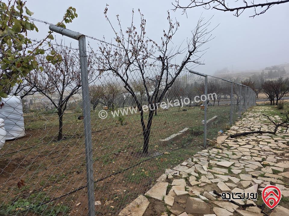 قطعة أرض مساحة 750م للبيع في عمان - ناعور