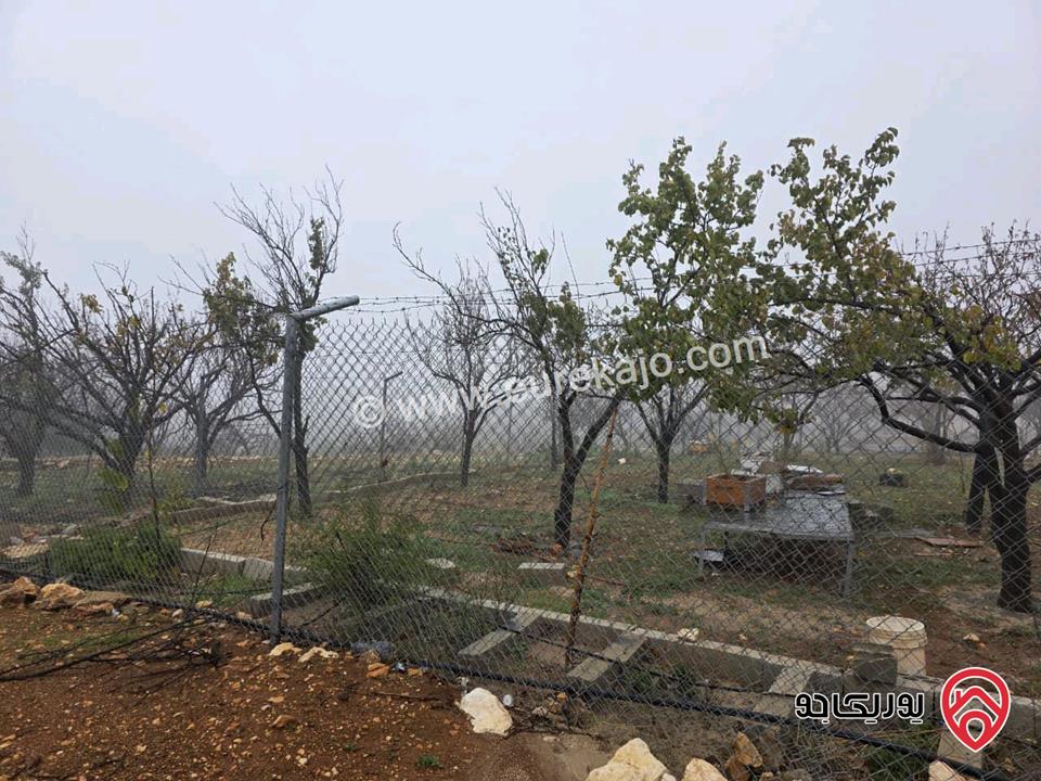 أرض مساحة 750م للبيع في عمان - ناعور