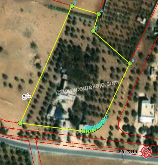 ارض زراعية مساحة 5 دونم و 500م والبناء 320م للبيع في مادبا - ذيبان مليح