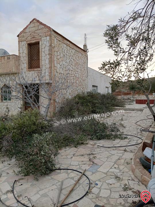 قطعة أرض مساحة 10 دونم و 704م للبيع في الزرقاء - بيرين