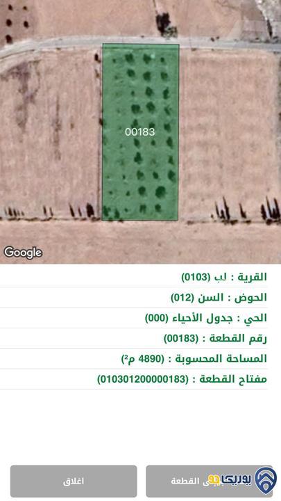 مزرعة زيتون للبيع مساحة 4890م مميزة في مادبا