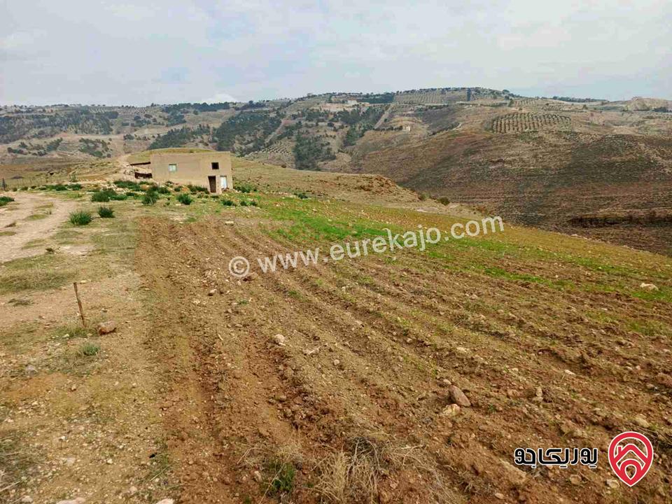 قطعة ارض مستوية مساحتها 3400م قوشان مستقل واصلها شارع ترابي للبيع في السلط الصبيحي - ميسرا  