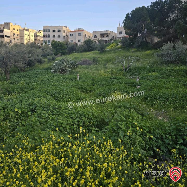 قطعة أرض مساحة 565م للبيع في عمان - أم نوارة 