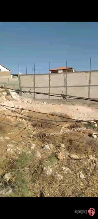 أرض مساحة 546م مزروعة بأشجار الزيتون للبيع في عمان - ناعور